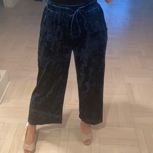 Velvet Pants- dark blue